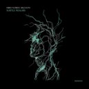 Fabio Florido meets Selcouth - Subtle Realms