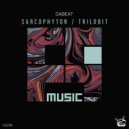 Dabeat - Trilobit