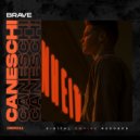 Caneschi - Brave