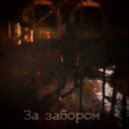 DitRoy - За забором