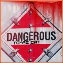 Toyaz Cat - Kazz (Original Mix)