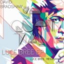 David Bradshaw - Luce Bree (Original Mix)