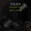 Toolbox - Right Or Wrong (T.T. Hacky Remix)