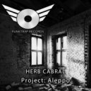 Herb Cabral - Project Aleppo (Original Mix)