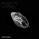 Ruimte Vogel - CLRCK