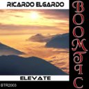 Ricardo Elgardo - Waves