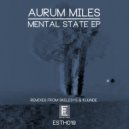 Aurum Miles - Don\'t Touch My Synths (Original Mix)