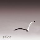 Marco Martina Feat. Libex - Spice (Original Mix)