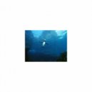 Mindfulness Healing BGM Project - Schedule & Contingency Map (Original Mix)