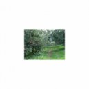 Mindfulness Healing BGM Project - Tolstoy & Rest