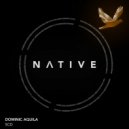 Dominic Aquila - TBCBGB (Original Mix)