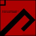 Burak Harsitlioglu - If Any Heart Errors