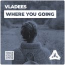 Vladees - Where You Going (Extended Mix)