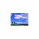Mindfulness Healing BGM Project - Tolstoy & Sensitivity