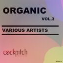 DJ David Colee - Cristina Work (Original Mix)