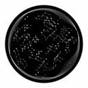 Brother Richard - D.A.B. (Original Mix)