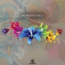 Simplification & nCamargo - Mystery