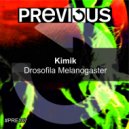 Kimik - Drosofila Melanogaster (Original Mix)