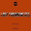 Rupert Wall - Lost Frequencies