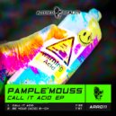 Pample\'mouss - Call It Acid (Original Mix)