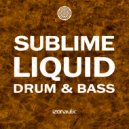 Stygmalibra - Ometepe (Radio Edit)