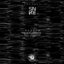 Radyon - Disturbed (Original Mix)