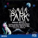George Levi - Savia Park Various Artists 3 (Continuous DJ Mix)