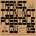 Transitionotpossible - Shape Of Future (Original Mix)