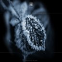 Traversable Message - Parallel Universe