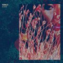 Hunnley - Three Days Later (Original Mix)