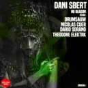 Dani Sbert - No Reason (Theodore Elektrk Remix)