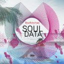 Soul Data - My Bad