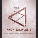 M5.5 - Perc FX