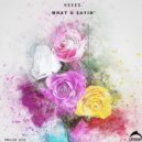 Keees. - Give It (Original Mix)