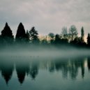 Forest Buddha Techno - Waves #19