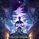 5 Sense, Federal Alchemist - Vibration Experience (Original Mix)