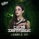 Lady Dammage - Feeling Hard (Original Mix)