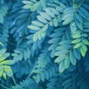 Illuvia - Summer Rain