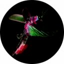 Triprain - Inner Slums (Original Mix)