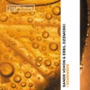 Sandr Voxon, Erbil Dzemoski - I Remember (Original Mix)