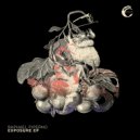 Raphael Piperno - Detuned (Original Mix)