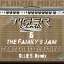 Tiger Cloth, The Family\'s Jam, Filippo Perbellini - Something Beautiful (Ollie S. Remix)