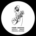 Habibi Grooves - Jazzville (Blend & Soul Remix)