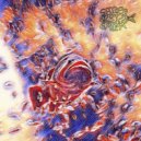 Sarpa Salpa - Dubikala