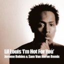 Lil Louis - I\'m Hot For You (Jerome Robins & Sam Van Horne Remix)