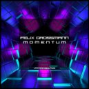 Felix Grossmann - Momentum
