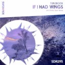 Tun3book - If I Had Wings (Radio Edit)