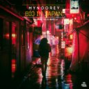 Mynoorey - Big In Japan (Jay Frog Remix)