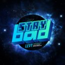 Levy - Digital Distraction