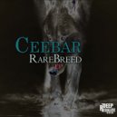 Ceebar - The Marine